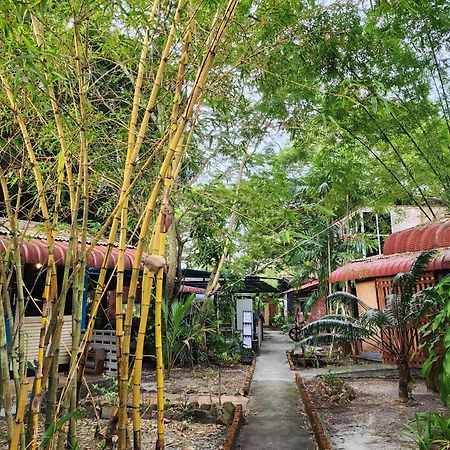 Blissfull Sweet Inn Pantai Cenang  Exteriör bild