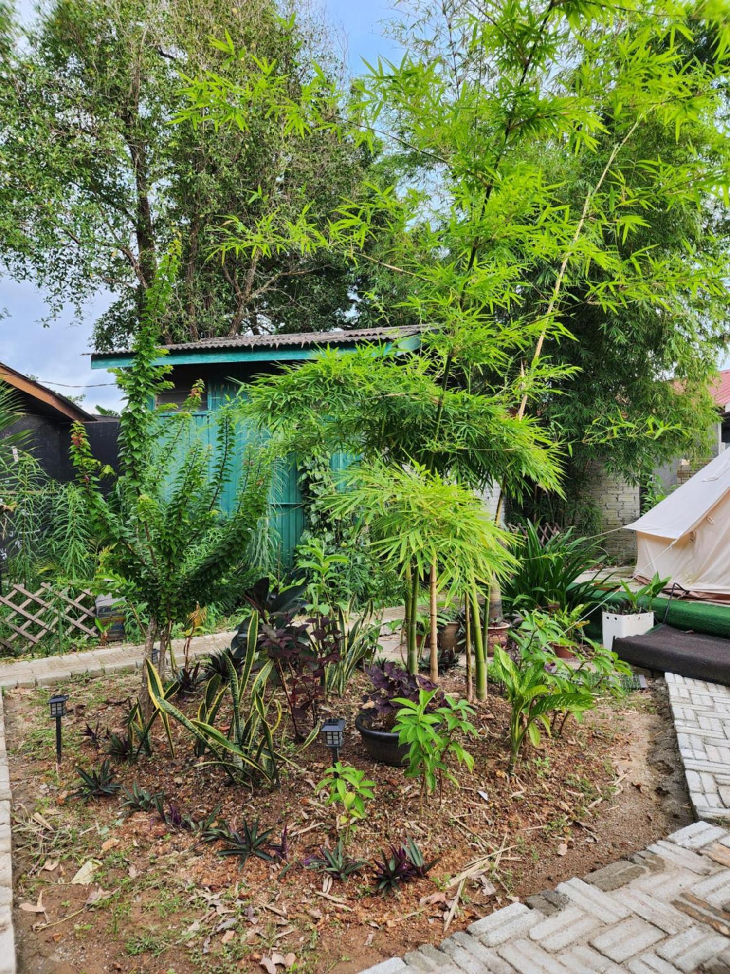 Blissfull Sweet Inn Pantai Cenang  Exteriör bild