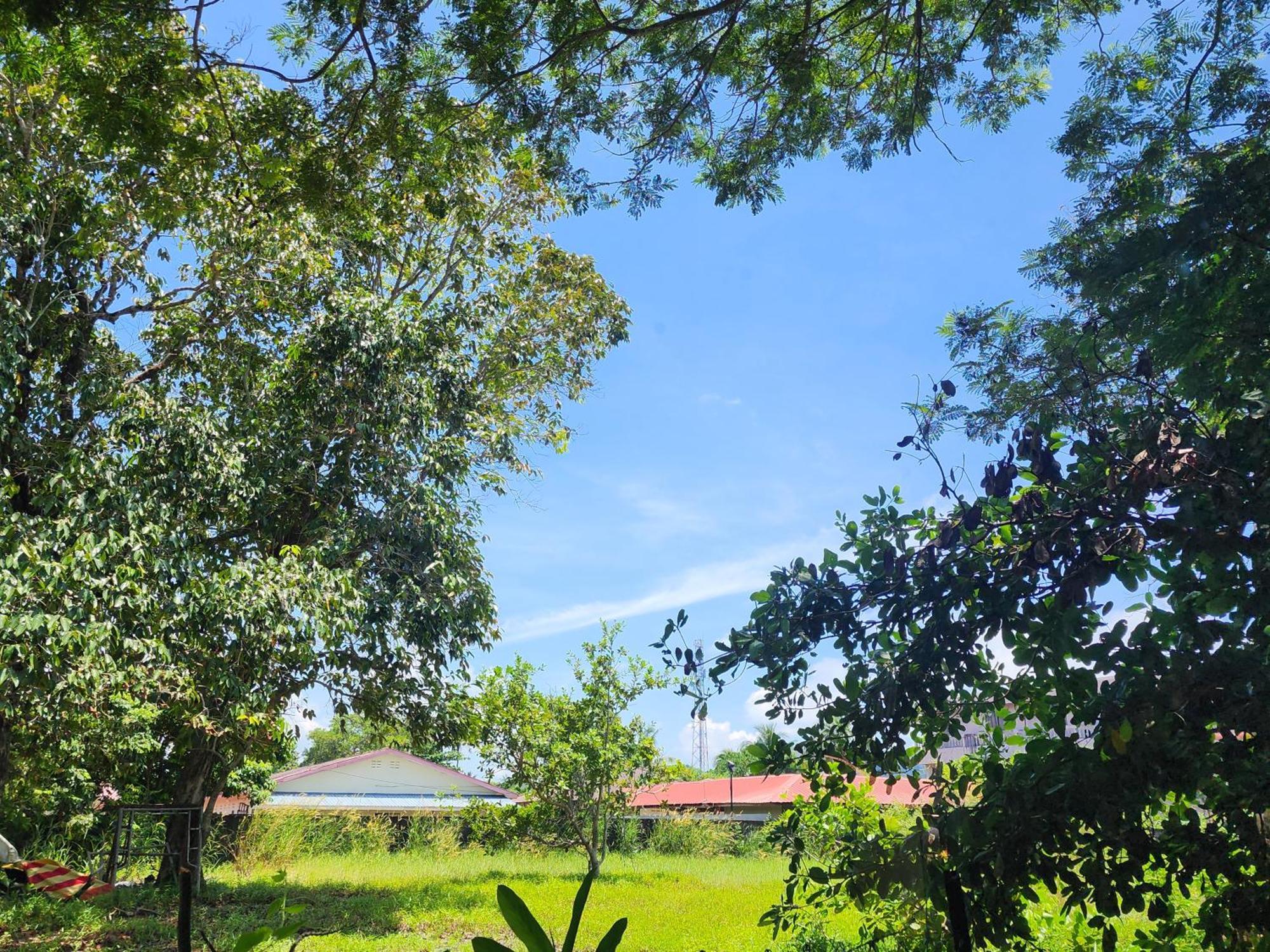 Blissfull Sweet Inn Pantai Cenang  Exteriör bild